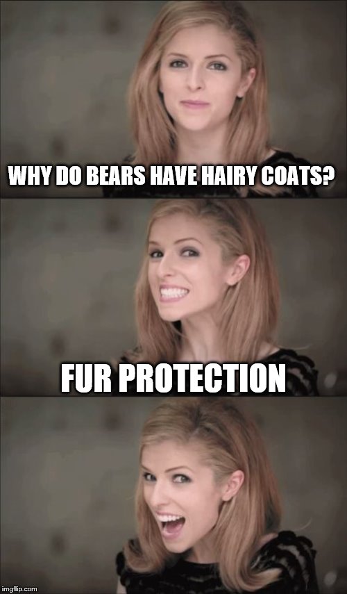Bad Pun Anna Kendrick Meme | WHY DO BEARS HAVE HAIRY COATS? FUR PROTECTION | image tagged in memes,bad pun anna kendrick | made w/ Imgflip meme maker