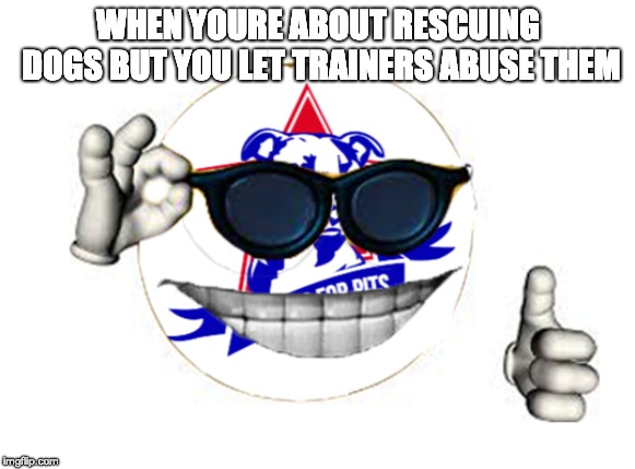 WHEN YOURE ABOUT RESCUING DOGS BUT YOU LET TRAINERS ABUSE THEM | image tagged in animal rescue,players for pits nfp,animal hoarding,perpetuating animal abuse | made w/ Imgflip meme maker