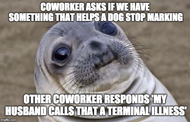 Awkward Seal | COWORKER ASKS IF WE HAVE SOMETHING THAT HELPS A DOG STOP MARKING; OTHER COWORKER RESPONDS 'MY HUSBAND CALLS THAT A TERMINAL ILLNESS' | image tagged in awkward seal | made w/ Imgflip meme maker