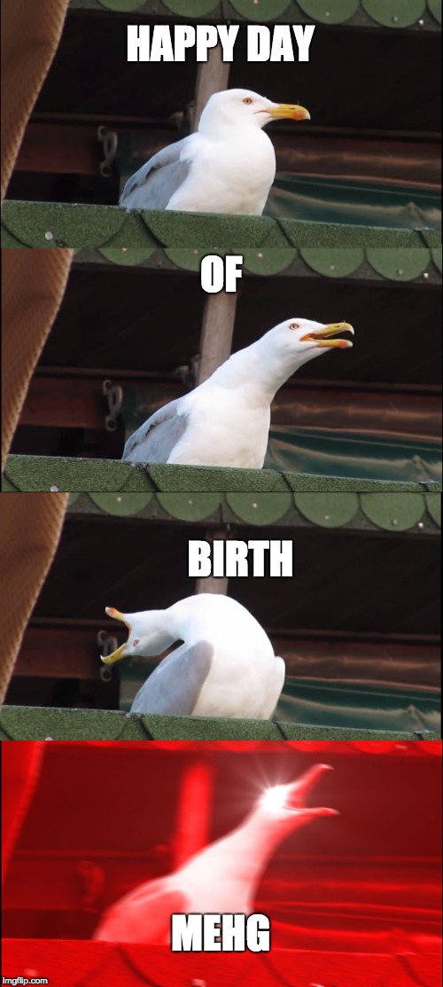 Inhaling Seagull | HAPPY DAY; OF; BIRTH; MEHG | image tagged in memes,inhaling seagull | made w/ Imgflip meme maker