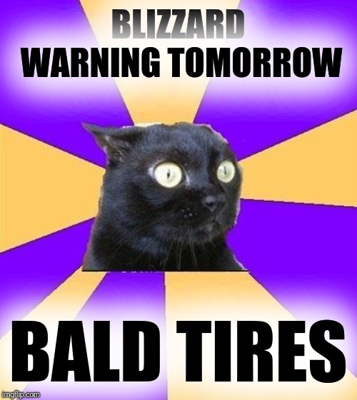My car won't be going far | BLIZZARD WARNING TOMORROW; BALD TIRES | image tagged in anxiety cat | made w/ Imgflip meme maker