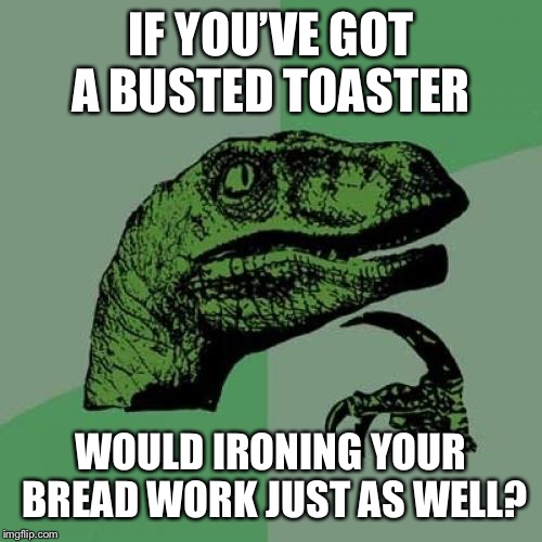 Philosoraptor | IF YOU’VE GOT A BUSTED TOASTER; WOULD IRONING YOUR BREAD WORK JUST AS WELL? | image tagged in memes,philosoraptor | made w/ Imgflip meme maker