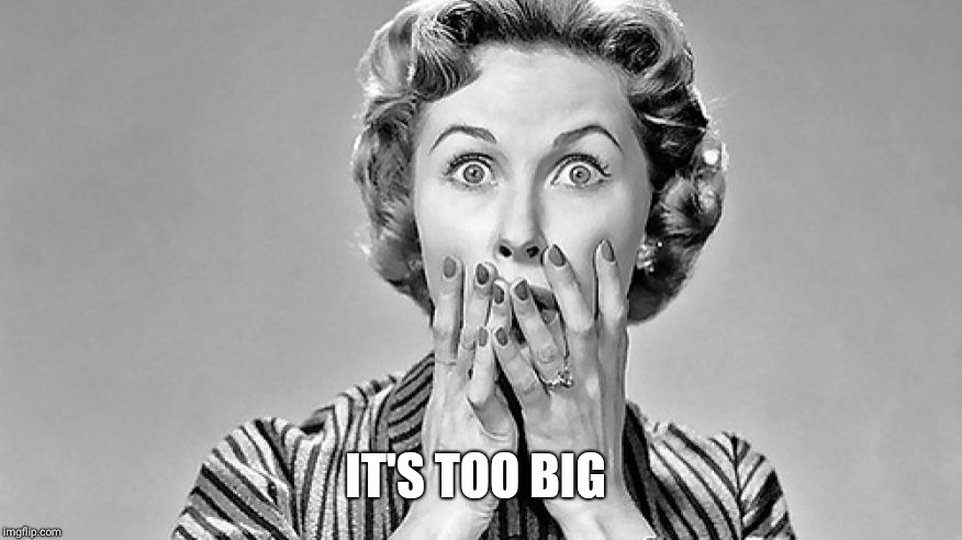 Shocked Woman | IT'S TOO BIG | image tagged in shocked woman | made w/ Imgflip meme maker