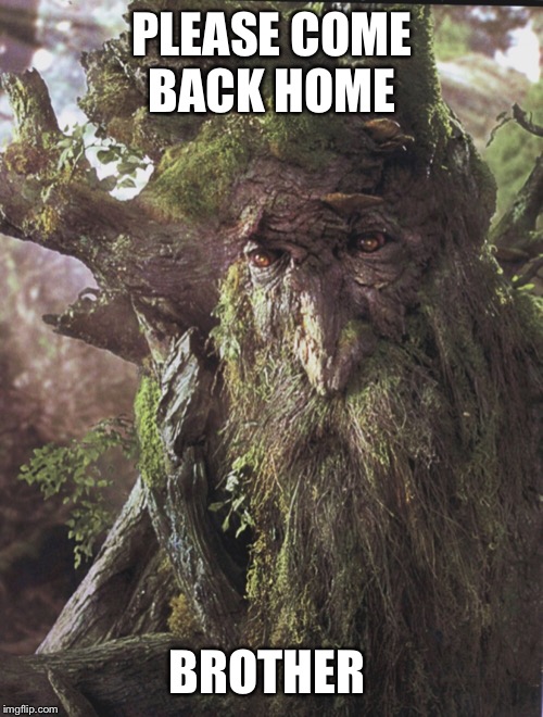 PLEASE COME BACK HOME BROTHER | made w/ Imgflip meme maker