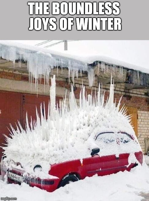 THE BOUNDLESS JOYS OF WINTER | image tagged in spike | made w/ Imgflip meme maker