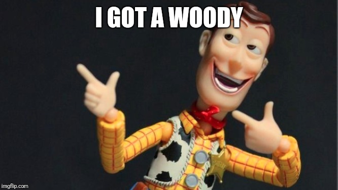 Morning Woody | I GOT A WOODY | image tagged in morning woody | made w/ Imgflip meme maker