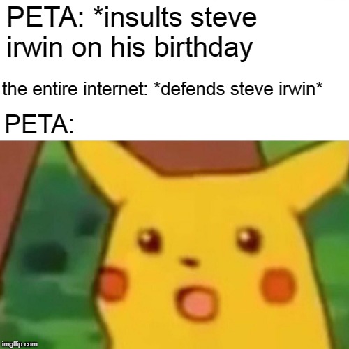 Surprised Pikachu | PETA: *insults steve irwin on his birthday; the entire internet: *defends steve irwin*; PETA: | image tagged in memes,surprised pikachu | made w/ Imgflip meme maker