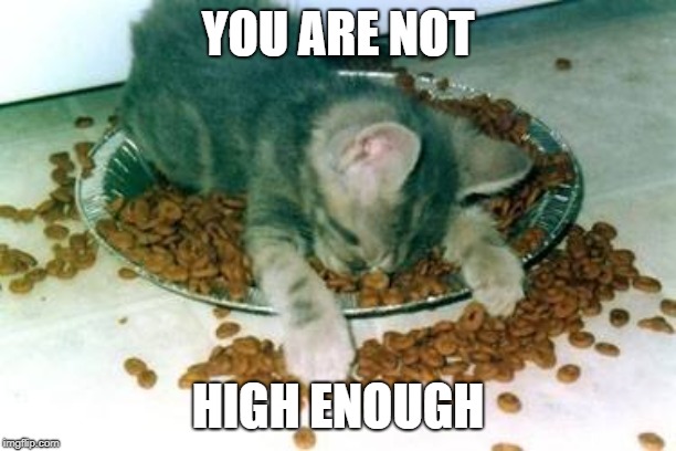 YOU ARE NOT; HIGH ENOUGH | image tagged in high enough | made w/ Imgflip meme maker
