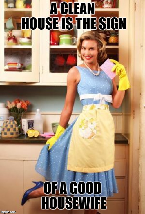 Happy House Wife |  A CLEAN HOUSE IS THE SIGN; OF A GOOD HOUSEWIFE | image tagged in happy house wife | made w/ Imgflip meme maker