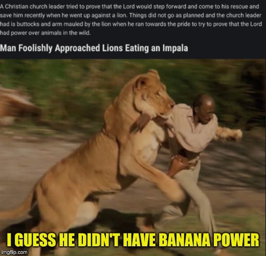 Facing the Lion | I GUESS HE DIDN'T HAVE BANANA POWER | image tagged in banana power | made w/ Imgflip meme maker