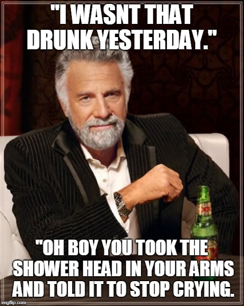 The Most Interesting Man In The World | "I WASNT THAT DRUNK YESTERDAY."; "OH BOY YOU TOOK THE SHOWER HEAD IN YOUR ARMS AND TOLD IT TO STOP CRYING. | image tagged in memes,the most interesting man in the world | made w/ Imgflip meme maker