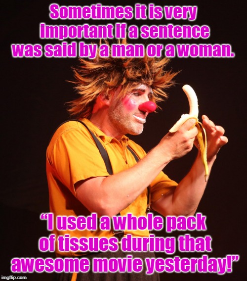 Important sentence | Sometimes it is very important if a sentence was said by a man or a woman. “I used a whole pack of tissues during that awesome movie yesterday!” | image tagged in funny | made w/ Imgflip meme maker