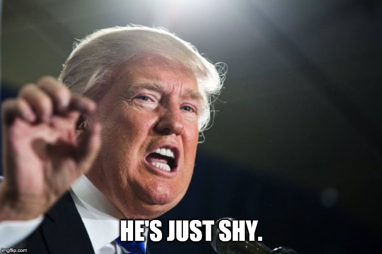 donald trump | HE'S JUST SHY. | image tagged in donald trump | made w/ Imgflip meme maker