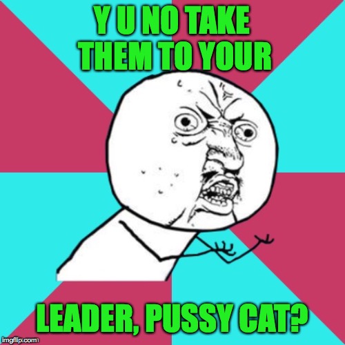 y u no music | Y U NO TAKE THEM TO YOUR LEADER, PUSSY CAT? | image tagged in y u no music | made w/ Imgflip meme maker
