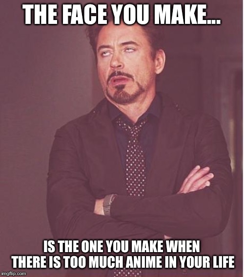 Face You Make Robert Downey Jr Meme | THE FACE YOU MAKE... IS THE ONE YOU MAKE WHEN THERE IS TOO MUCH ANIME IN YOUR LIFE | image tagged in memes,face you make robert downey jr | made w/ Imgflip meme maker