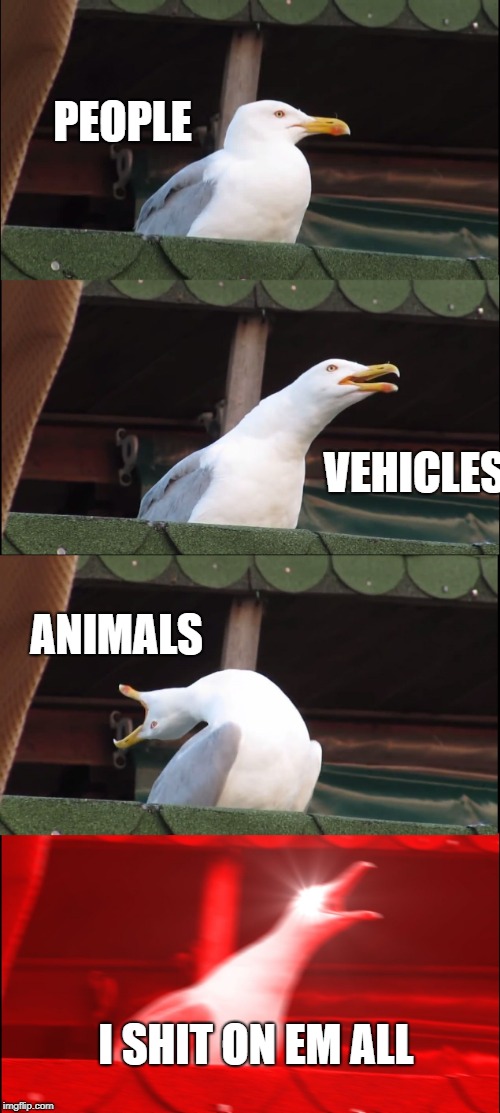 Inhaling Seagull | PEOPLE; VEHICLES; ANIMALS; I SHIT ON EM ALL | image tagged in memes,inhaling seagull | made w/ Imgflip meme maker