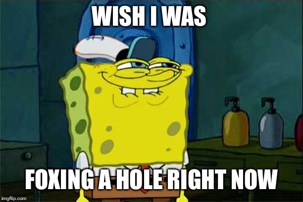 Don't You Squidward Meme | WISH I WAS FOXING A HOLE RIGHT NOW | image tagged in memes,dont you squidward | made w/ Imgflip meme maker