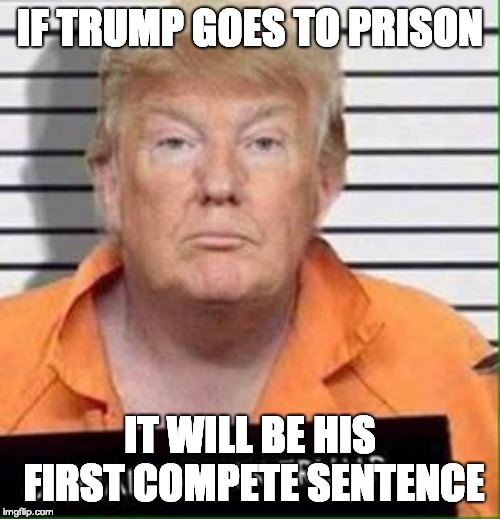 Trump in prison | IF TRUMP GOES TO PRISON; IT WILL BE HIS FIRST COMPETE SENTENCE | image tagged in trump in prison | made w/ Imgflip meme maker
