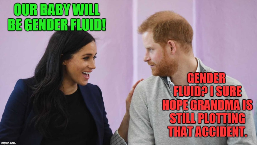 Get your popcorn ready people. Drama is coming.  | OUR BABY WILL BE GENDER FLUID! GENDER FLUID? I SURE HOPE GRANDMA IS STILL PLOTTING THAT ACCIDENT. | image tagged in the royal family,nixieknox,memes | made w/ Imgflip meme maker