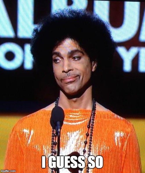 prince not impressed | I GUESS SO | image tagged in prince not impressed | made w/ Imgflip meme maker
