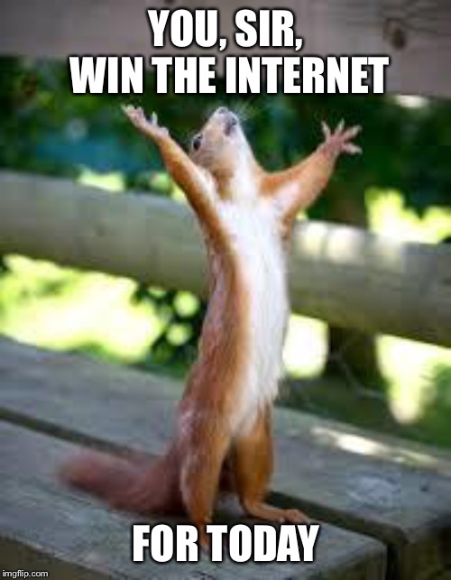 Praise Squirrel | YOU, SIR, WIN THE INTERNET FOR TODAY | image tagged in praise squirrel | made w/ Imgflip meme maker