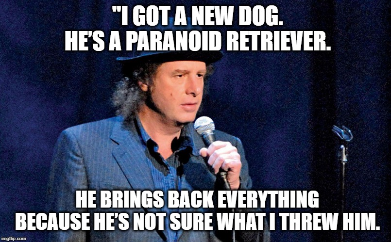 Every morning I get up and make instant coffee and I drink it so I have the energy to make real coffee. | "I GOT A NEW DOG. HE’S A PARANOID RETRIEVER. HE BRINGS BACK EVERYTHING BECAUSE HE’S NOT SURE WHAT I THREW HIM. | image tagged in steven wright,memes,funny memes,jokes | made w/ Imgflip meme maker