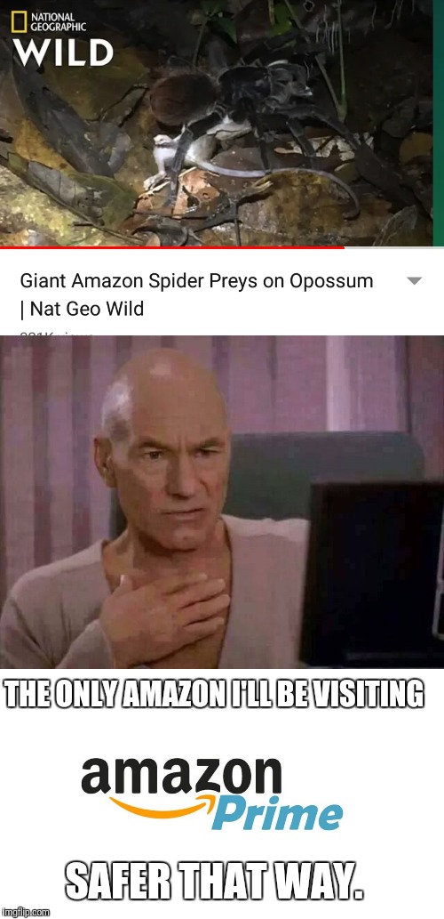 No thank you | THE ONLY AMAZON I'LL BE VISITING; SAFER THAT WAY. | image tagged in ewww,amazon prime,wth,spider,no way | made w/ Imgflip meme maker