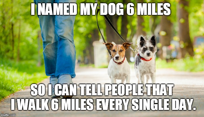 6 Miles | I NAMED MY DOG 6 MILES; SO I CAN TELL PEOPLE THAT I WALK 6 MILES EVERY SINGLE DAY. | image tagged in sport | made w/ Imgflip meme maker