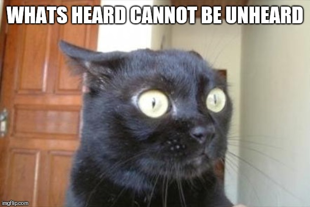 Cannot Be Unseen Cat | WHATS HEARD CANNOT BE UNHEARD | image tagged in cannot be unseen cat | made w/ Imgflip meme maker