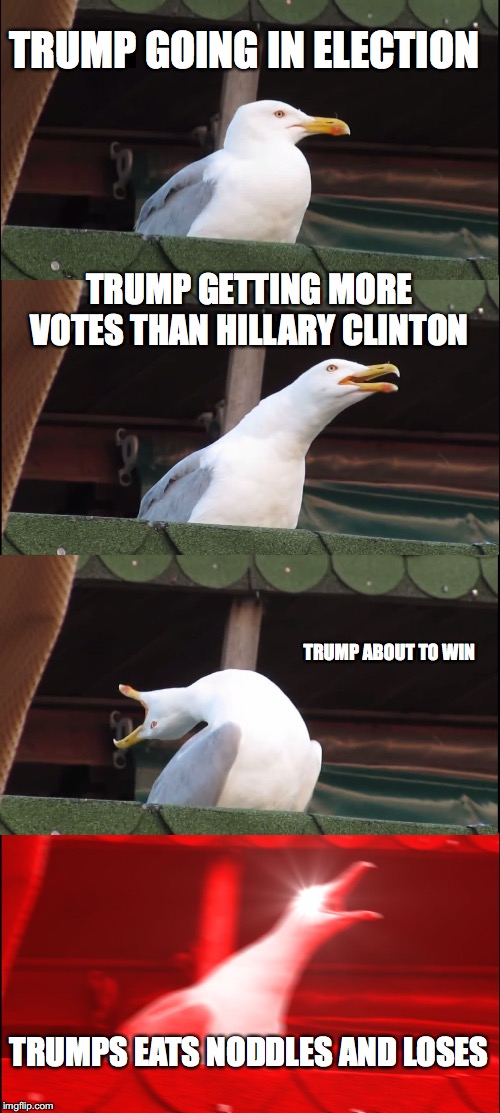 Inhaling Seagull | TRUMP GOING IN ELECTION; TRUMP GETTING MORE VOTES THAN HILLARY CLINTON; TRUMP ABOUT TO WIN; TRUMPS EATS NODDLES AND LOSES | image tagged in memes,inhaling seagull | made w/ Imgflip meme maker