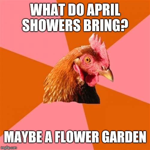 Anti Joke Chicken Meme | WHAT DO APRIL SHOWERS BRING? MAYBE A FLOWER GARDEN | image tagged in memes,anti joke chicken | made w/ Imgflip meme maker
