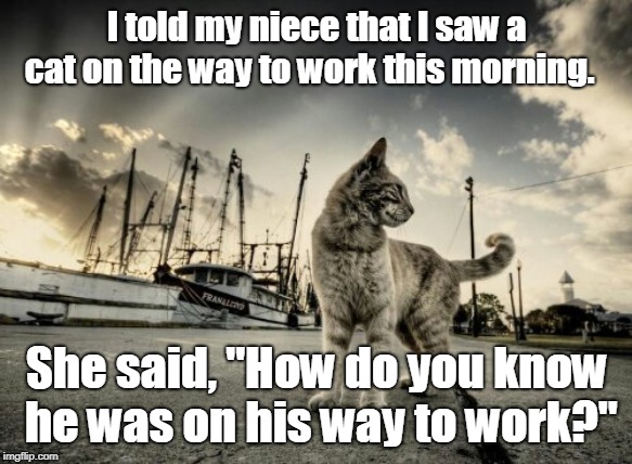 cat on the way | I told my niece that I saw a cat on the way to work this morning. She said, "How do you know he was on his way to work?" | image tagged in cat | made w/ Imgflip meme maker