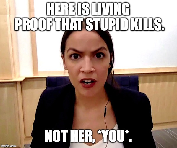 Never, ever underestimate the power of stupid people in large groups. | HERE IS LIVING PROOF THAT STUPID KILLS. NOT HER, *YOU*. | image tagged in alexandria ocasio-cortez,2019,democrat,liberal,stupidtarian,idiot | made w/ Imgflip meme maker