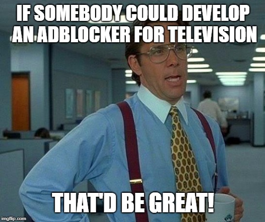 Or develop TV commercials that weren't annoying as f*** | IF SOMEBODY COULD DEVELOP AN ADBLOCKER FOR TELEVISION; THAT'D BE GREAT! | image tagged in memes,that would be great | made w/ Imgflip meme maker