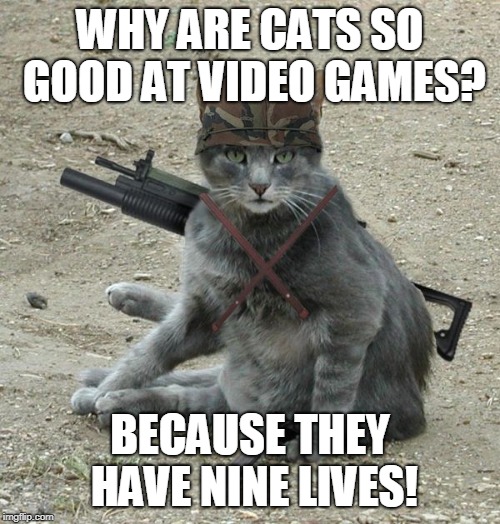 Nine Lives | WHY ARE CATS SO GOOD AT VIDEO GAMES? BECAUSE THEY HAVE NINE LIVES! | image tagged in game | made w/ Imgflip meme maker
