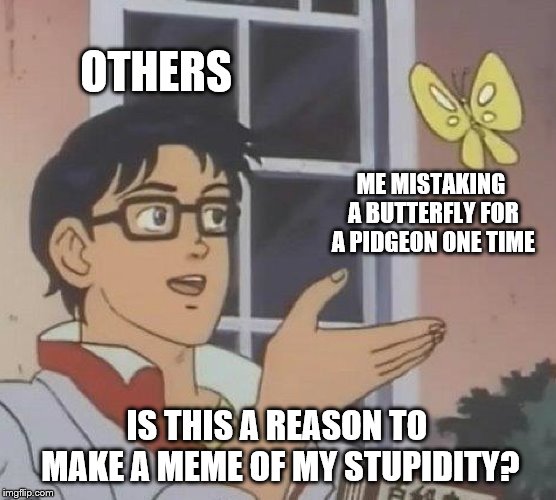 Is This A Pigeon Meme | OTHERS; ME MISTAKING A BUTTERFLY FOR A PIDGEON ONE TIME; IS THIS A REASON TO MAKE A MEME OF MY STUPIDITY? | image tagged in memes,is this a pigeon | made w/ Imgflip meme maker