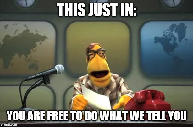 Muppet News Flash | THIS JUST IN: YOU ARE FREE TO DO WHAT WE TELL YOU | image tagged in muppet news flash | made w/ Imgflip meme maker