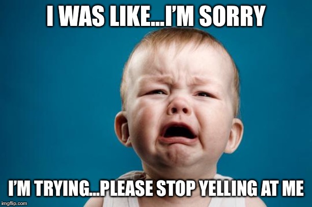BABY CRYING | I WAS LIKE...I’M SORRY I’M TRYING...PLEASE STOP YELLING AT ME | image tagged in baby crying | made w/ Imgflip meme maker