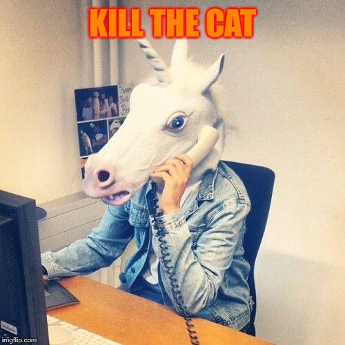Unicorn Phone | KILL THE CAT | image tagged in unicorn phone | made w/ Imgflip meme maker
