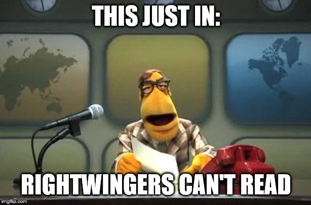 Muppet News Flash | THIS JUST IN: RIGHTWINGERS CAN'T READ | image tagged in muppet news flash | made w/ Imgflip meme maker