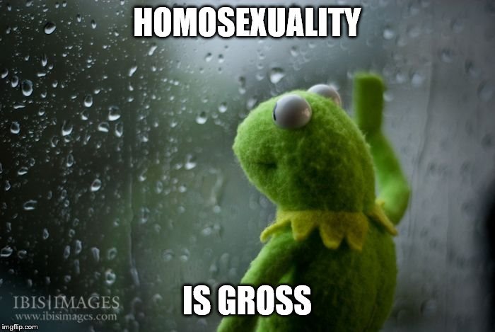 kermit window | HOMOSEXUALITY IS GROSS | image tagged in kermit window | made w/ Imgflip meme maker