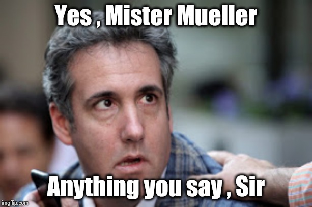 Michael Cohen looking stupid | Yes , Mister Mueller Anything you say , Sir | image tagged in michael cohen looking stupid | made w/ Imgflip meme maker