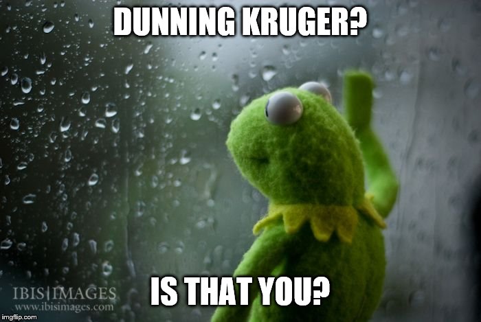 kermit window | DUNNING KRUGER? IS THAT YOU? | image tagged in kermit window | made w/ Imgflip meme maker