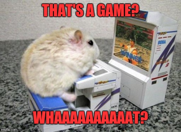 hamster arcade | THAT'S A GAME? WHAAAAAAAAAAT? | image tagged in hamster arcade | made w/ Imgflip meme maker