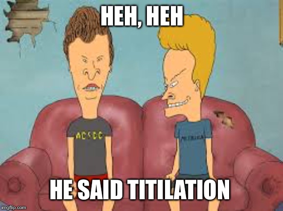 Bevis n Butthead | HEH, HEH HE SAID TITILATION | image tagged in bevis n butthead | made w/ Imgflip meme maker