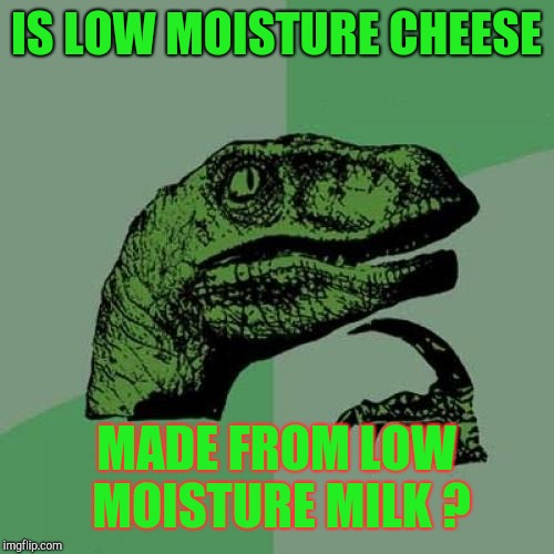 Philosoraptor | IS LOW MOISTURE CHEESE; MADE FROM LOW MOISTURE MILK ? | image tagged in memes,philosoraptor | made w/ Imgflip meme maker