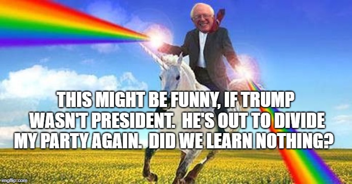 Bernie sanders Fantasy land  | THIS MIGHT BE FUNNY, IF TRUMP WASN'T PRESIDENT.  HE'S OUT TO DIVIDE MY PARTY AGAIN.  DID WE LEARN NOTHING? | image tagged in bernie sanders fantasy land | made w/ Imgflip meme maker