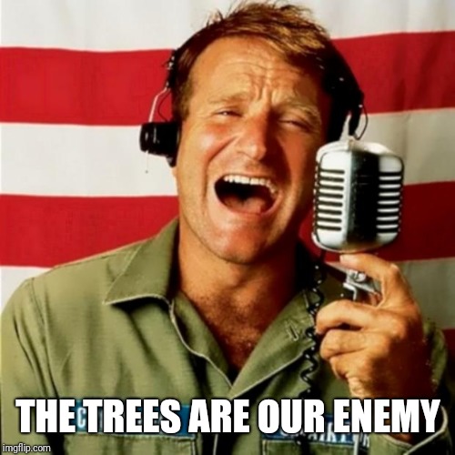 Good Morning Vietnam | THE TREES ARE OUR ENEMY | image tagged in good morning vietnam | made w/ Imgflip meme maker