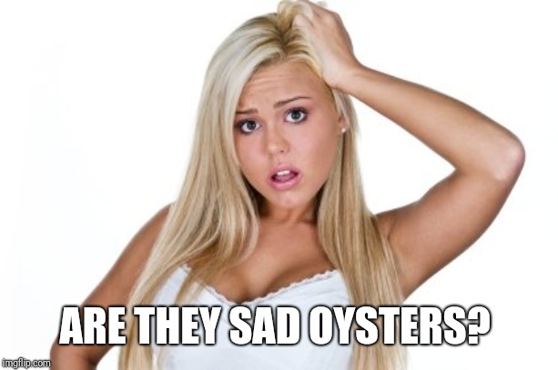 Dumb Blonde | ARE THEY SAD OYSTERS? | image tagged in dumb blonde | made w/ Imgflip meme maker