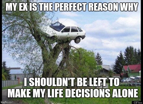 Secure Parking | MY EX IS THE PERFECT REASON WHY; I SHOULDN'T BE LEFT TO MAKE MY LIFE DECISIONS ALONE | image tagged in memes,secure parking | made w/ Imgflip meme maker